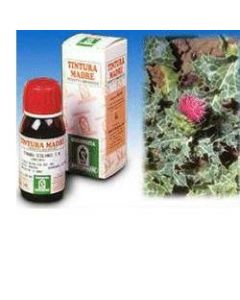 Specchiasol Cardo Mariano 6 Tintura Madre 50 ml