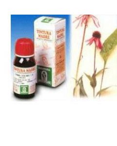 Specchiasol Echinacea 59 Tintura Madre 50 ml