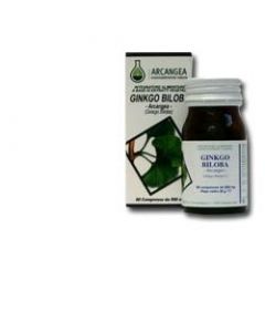 Ginkgo Biloba 60 Capsule 500Mg