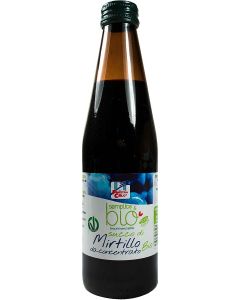 SUCCO CONC MIRTILLO 330ML FINEST