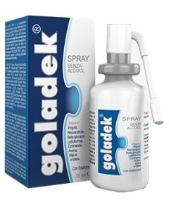 GOLADEK SPRAY S/ALCOOL 25ML
