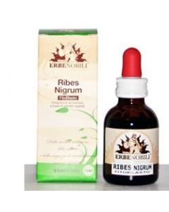 Erbenobili Ribes Nigrum Fitoblasto Gemmoderivato 50 ml