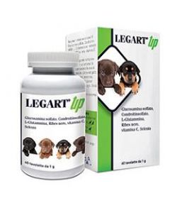 LEGART UP 30CPR VET