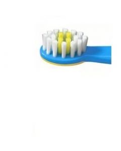 ELMEX SPAZZ EDUCATIVO 0/3 ANNI