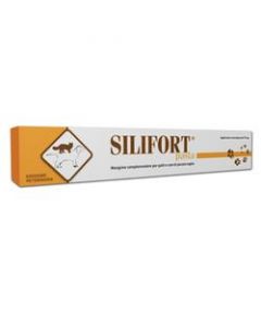 SILIFORT PASTA OS SIRINGA 15G