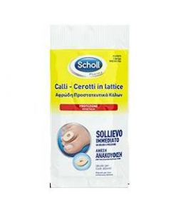 SCHOLLS CEROTTO IN LATTICE CALLI