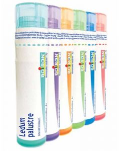 BO.LEDUM PALUSTRE 9CH TUBO