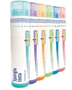 BO.SPONGIA TOSTA 30CH TUBO