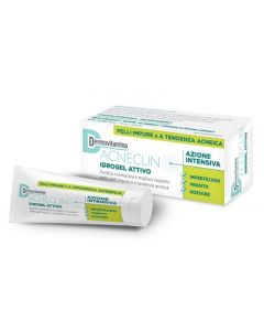 Dermovitamina Acneclin Idrogel Attivo 40 Ml
