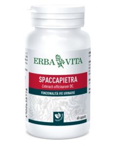 SPACCAPIETRA 60 Cps 500mg EBV