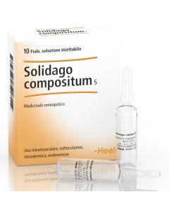 Guna-Heel Solidago Compositum S Medicinale Omeopatico 10 Fiale