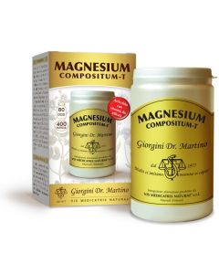 MAGNESIUM Comp-T 400Past.500mg