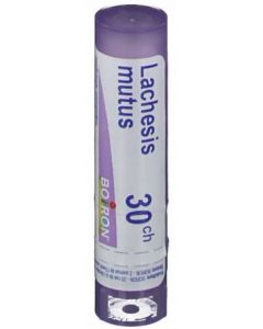 BO.LACHESIS MUTUS 30CH TUBO