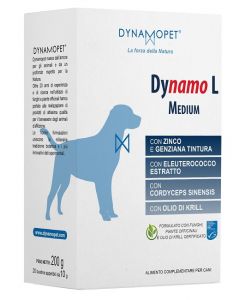 Dynamo l Medium 20bust.10g