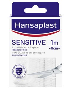 Hansaplast Str.sens.10x6 10pz