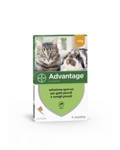 Advantage 40 mg Soluzione Antiparassitaria Spot-On Gatti e Conigli 4 Pipette