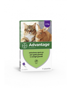 Advantage 80mg Soluzione Spot-On Gatti e Conigli 4 Pipette