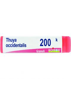 BO.THUYA OCCIDENTALIS  200K