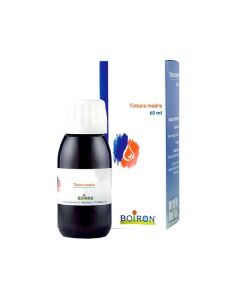 TARAXACUM 60ML TM BO