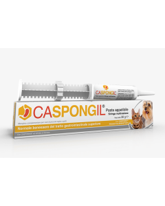 CASPONGIL Pasta 30g