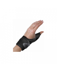 GIBAUD-ORT.Rhizogib*Dx 2