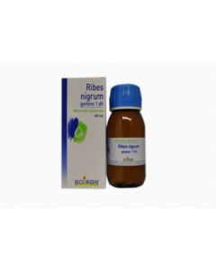 RIBES NIGRUM MACERATO GLICERICO GEMME 60 ML